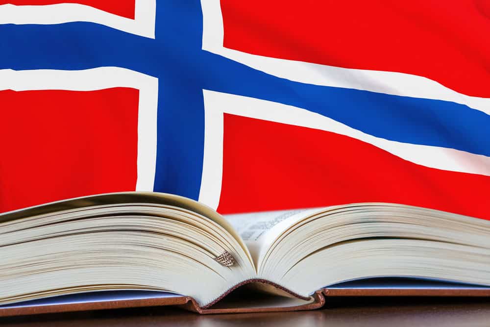 Hvordan skape leselyst hos barn og unge